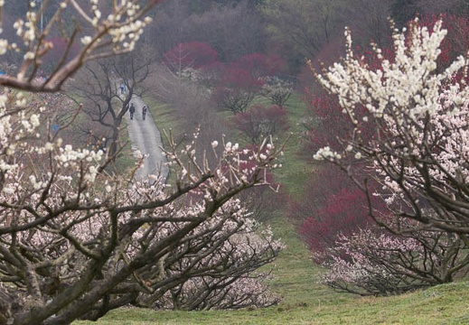 201503220920-DSC01962.jpg