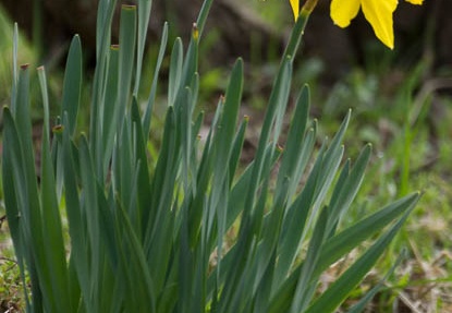 201503220943-DSC01998.jpg