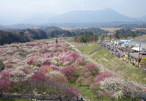 20150322115255-SO-01F.jpg