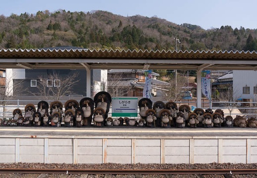 201503221432-DSC05925N6.jpg