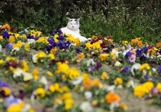 201503241134-DSC02343.jpg