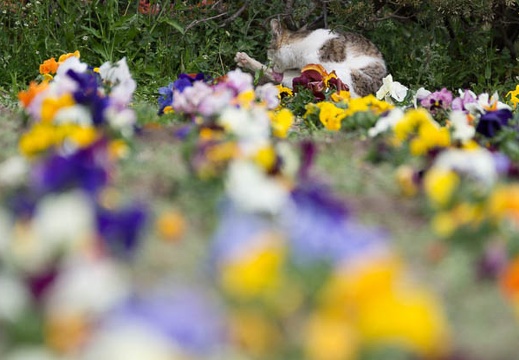 201503241136-DSC02356.jpg