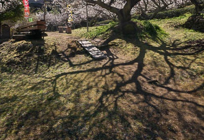 201503250930-DSC06398N6.jpg