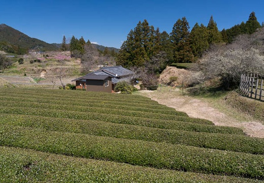 201503251204-DSC06552N6.jpg