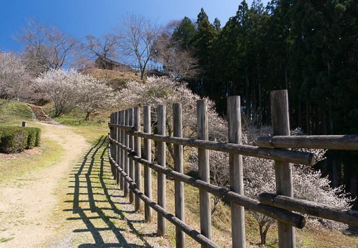 201503251205-DSC06554N6.jpg