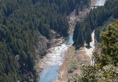201503251228-DSC02862.jpg