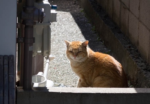201503261023-DSC08432R10.jpg