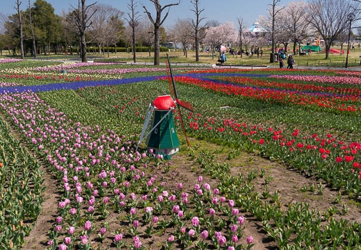 201503271052-DSC06627N6.jpg