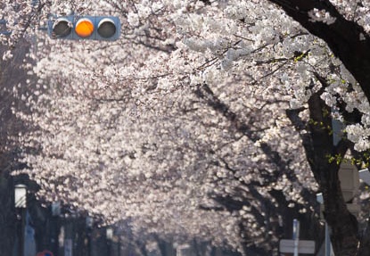 201503281541-DSC03276.jpg