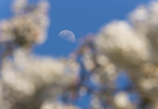 201503281551-DSC03303.jpg