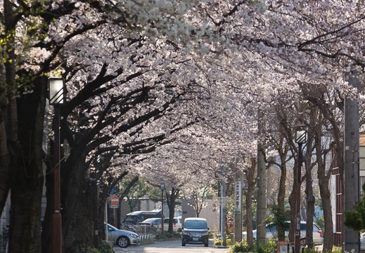 201503281613-DSC03350.jpg