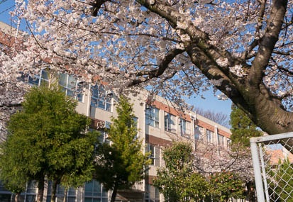 201503281618-DSC06927N6.jpg