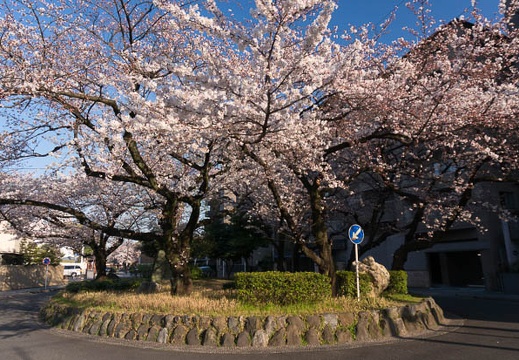 201503281636-DSC06937N6.jpg