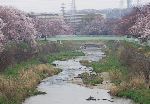 201503291142-DSC06209A55.jpg
