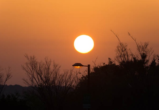 201503300550-DSC03390.jpg