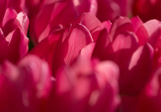 201503300753-DSC03444.jpg