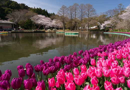 201503300957-DSC07136N6.jpg