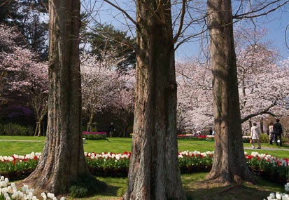 201503301018-DSC07167N6.jpg