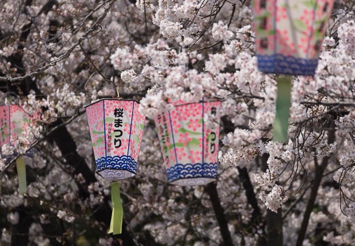 201503311203-DSC04010.jpg