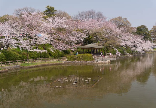 201503311211-DSC07581N6.jpg