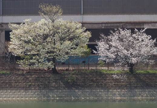 201503311400-DSC04112.jpg