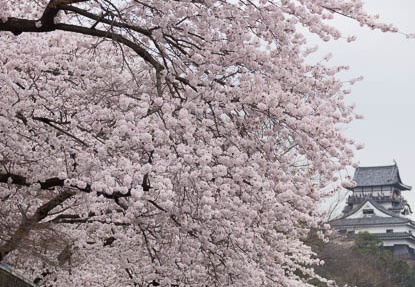 201504021146-DSC04249.jpg