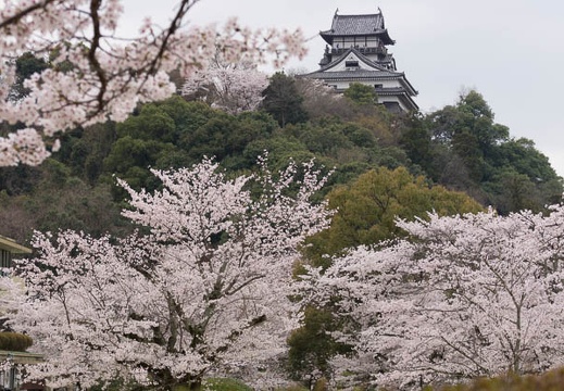 201504021159-DSC04272.jpg