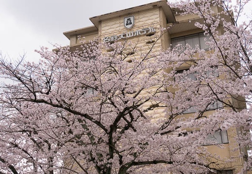 201504021203-DSC07765N6.jpg