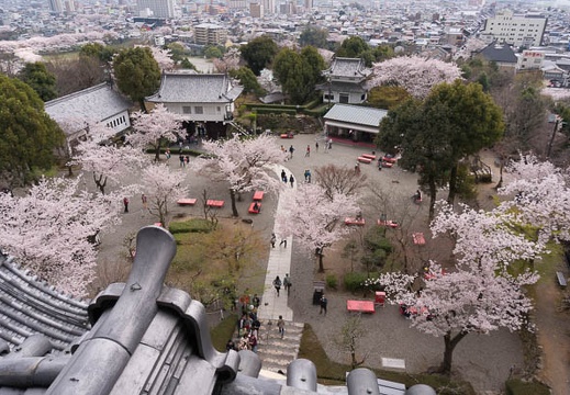 201504021242-DSC07786N6.jpg
