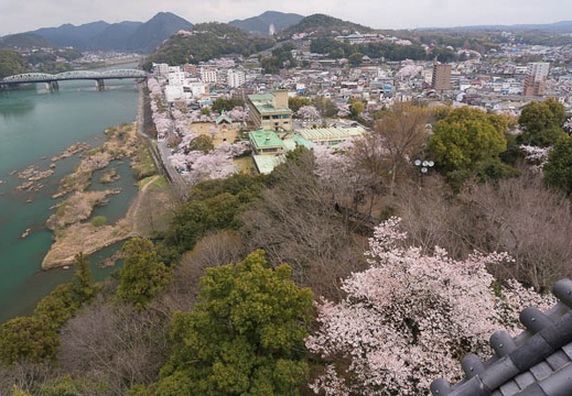 201504021245-DSC07801N6.jpg