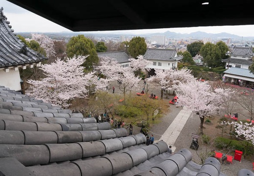 201504021254-DSC07814N6.jpg