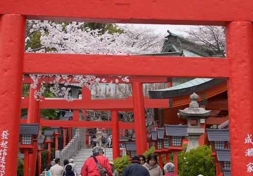 201504021323-DSC04413.jpg