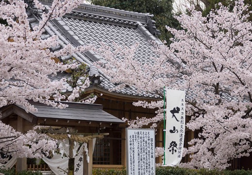 201504021325-DSC04415.jpg