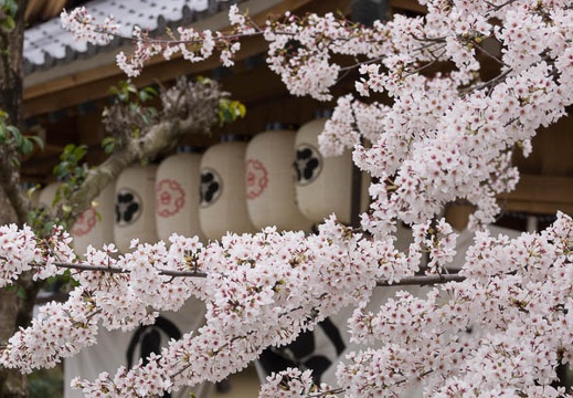 201504021326-DSC04420.jpg