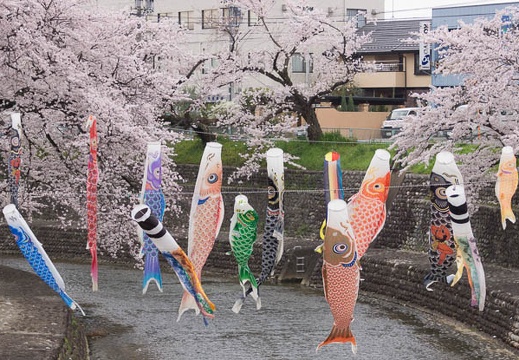 201504021443-DSC04511.jpg