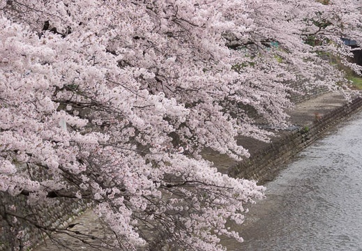 201504021443-DSC04513.jpg
