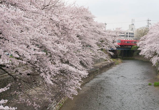 201504021444-DSC07924N6.jpg