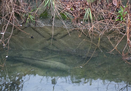 201504031039-DSC08722R10.jpg
