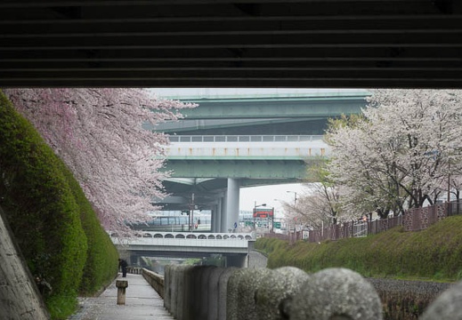 201504031216-DSC09016R10.jpg