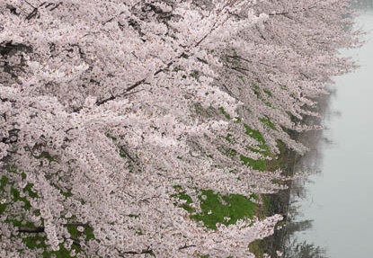 201504031243-DSC09102R10.jpg