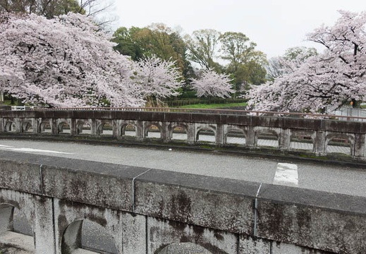 201504031326-DSC09232R10.jpg