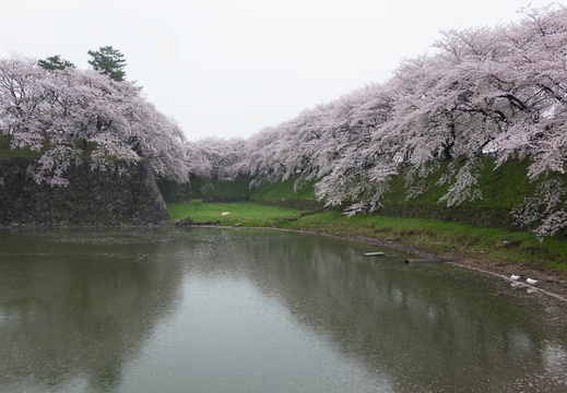 201504031422-DSC09396R10.jpg