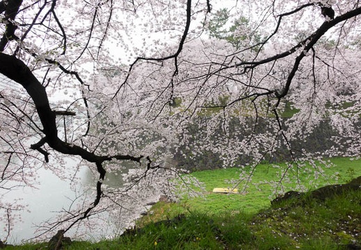 201504031428-DSC09420R10.jpg