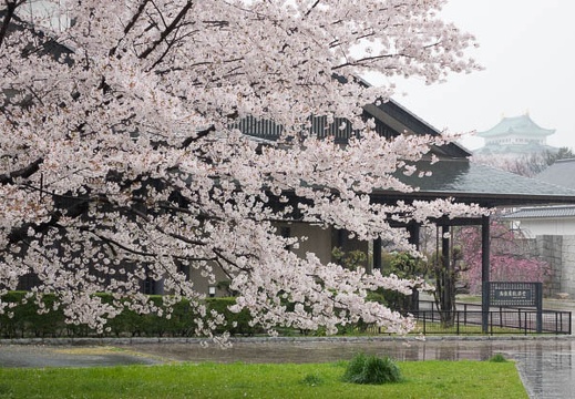 201504031501-DSC09473R10.jpg