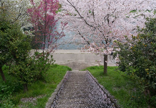 201504041114-DSC07961N6.jpg
