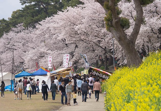 201504041215-DSC04697.jpg