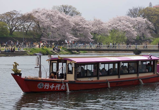 201504041219-DSC04704.jpg