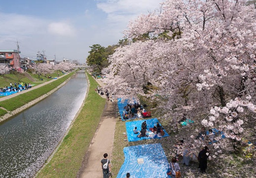 201504041226-DSC08037N6.jpg