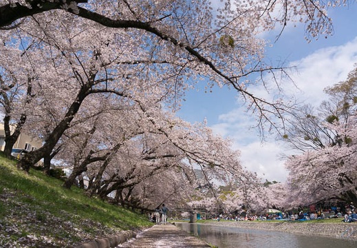 201504041233-DSC08061N6.jpg