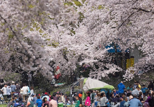 201504041244-DSC04721.jpg